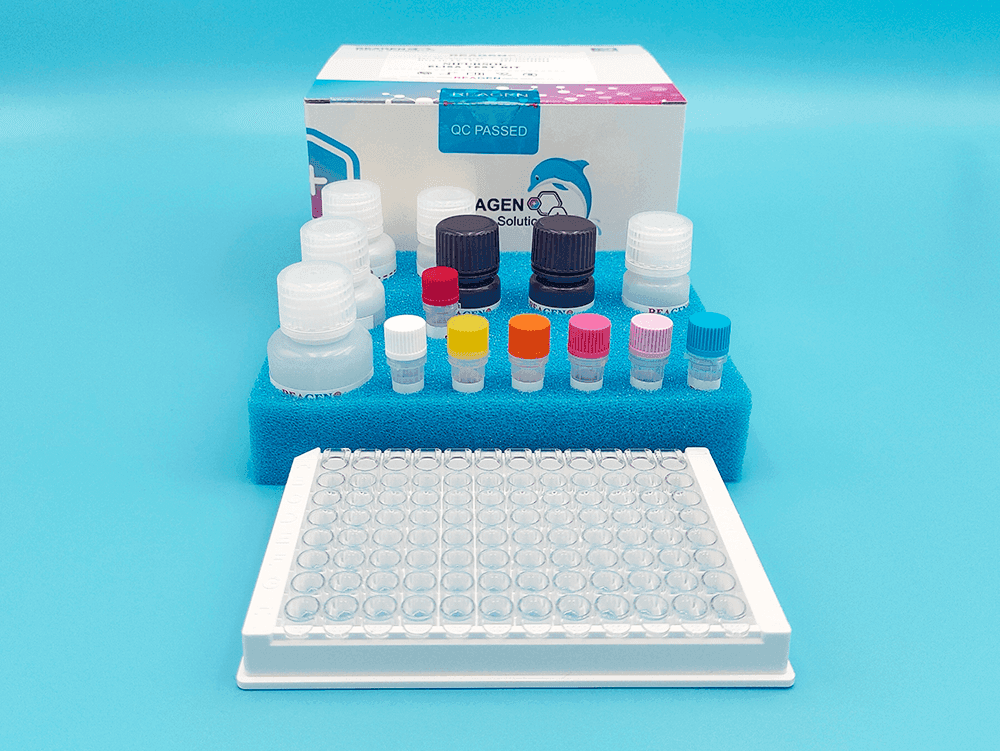 Rapid & ELISA Diagnostic Kits